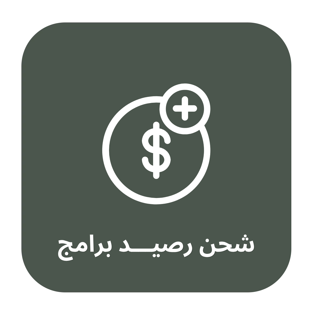 تغذية رصيد البرامج 